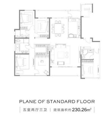 5室2厅3卫户型图230㎡